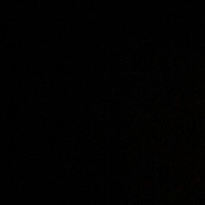 Meet your Posher, Maeve